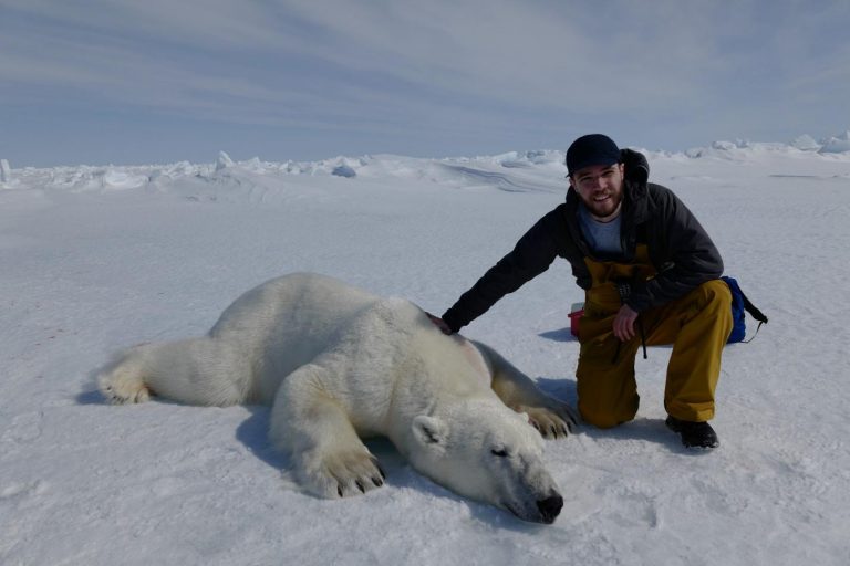 Avez-vous adopté un ours polaire cette année? Voici ce que nous avons accompli ensemble!
