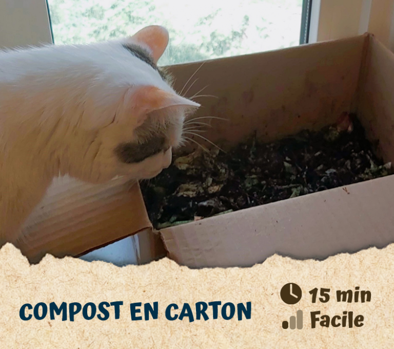 Compost en carton