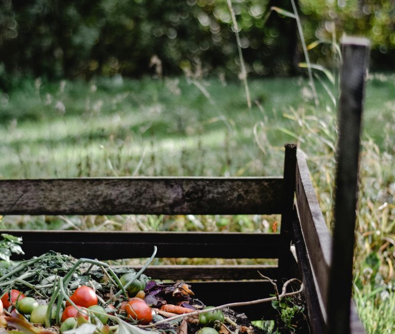 Quiz – Le compostage des futurs agriculteurs