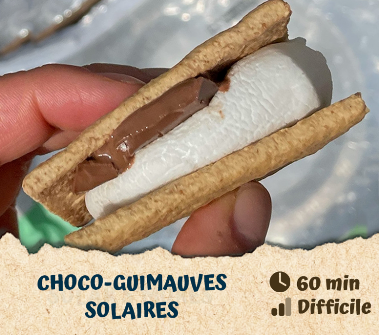 Choco-guimauves solaires