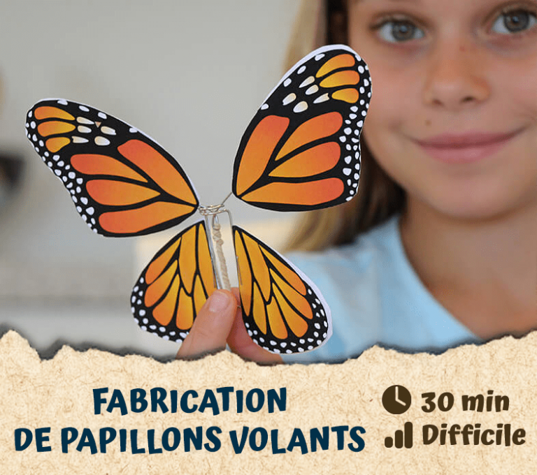 Fabrication de papillons volants