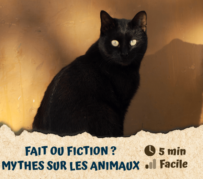 Fait ou fiction ? Mythes sur les animaux