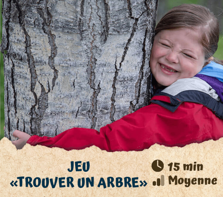 Jeu «Trouver un Arbre»