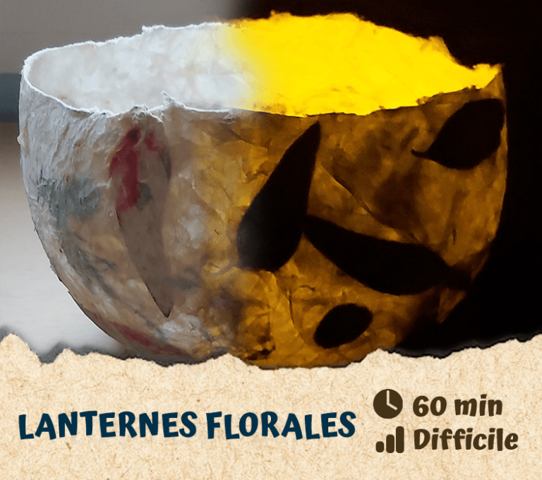 Lanternes florales