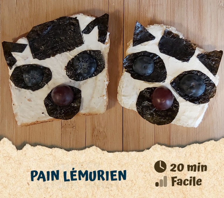 Pain lémurien