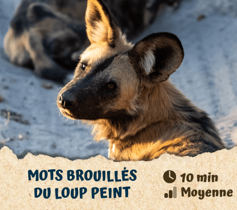 Mots brouillés du loup peint