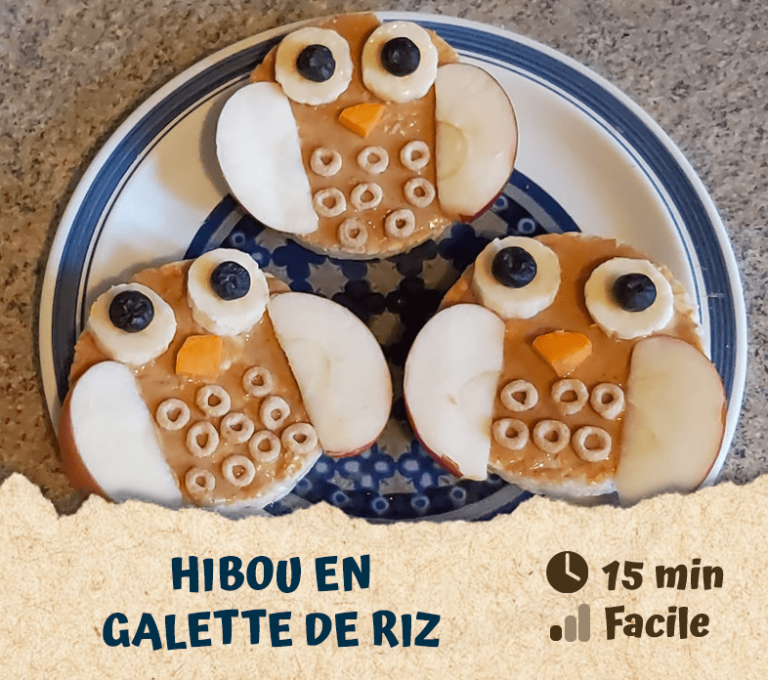 Hibou en galette de riz