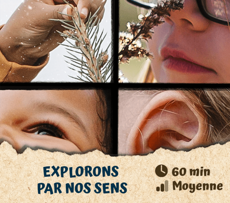 Explorons par nos sens