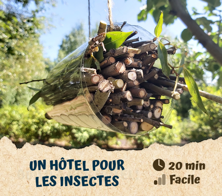 Un hôtel pour les insectes
