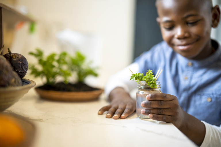 Vous pouvez avoir un grand impact lors du« Jour des petits changements »!
