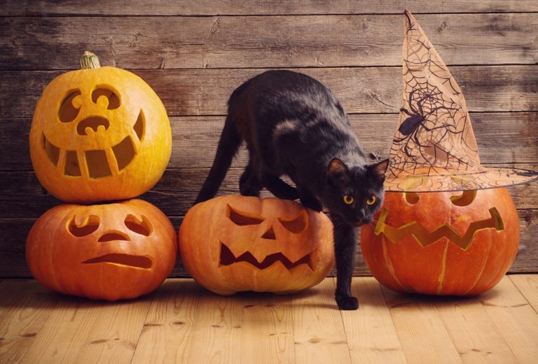 Vous pouvez être n’importe quoi cet Halloween. Soyez un abat-mythe!
