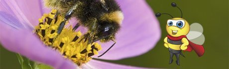 La mission : Les super-héros pollinisateurs