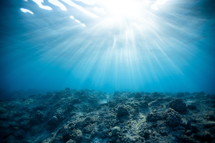 Les océans et les changements climatiques