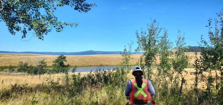 Castors, bourdons et graminées! Une aventure dans les Bunchgrass Hills avec Sarah Bayliff