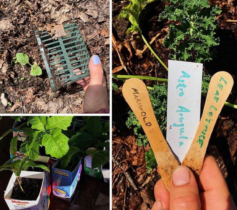 Crée un jardin écolo!