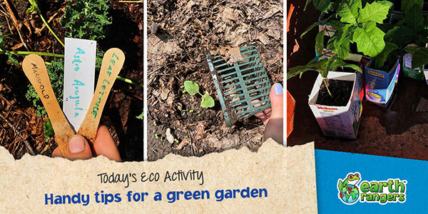 Éco-activité du jour: Jardinières bien hydratées