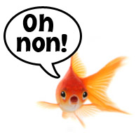 fish-speech-bubble-oh-no