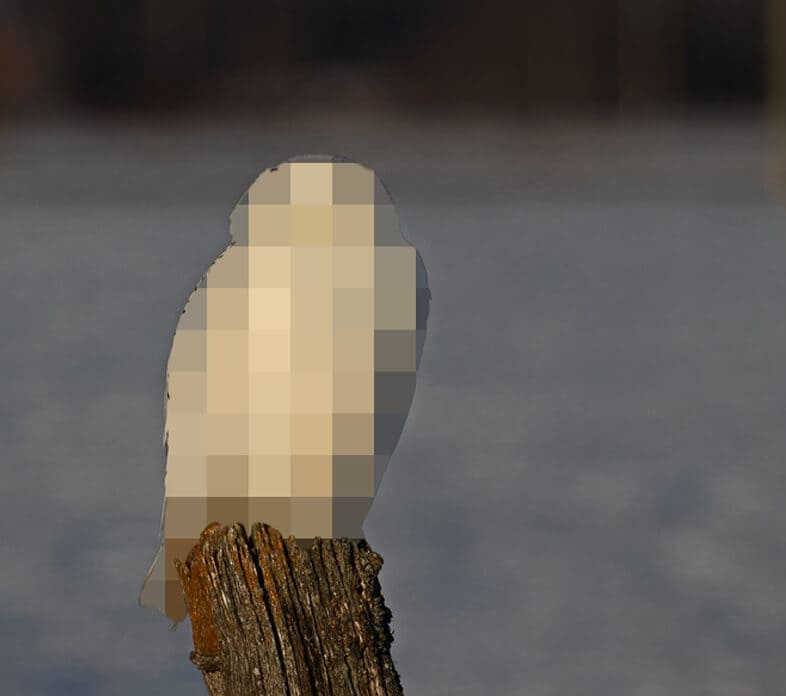 CC_Owl-Pixelated