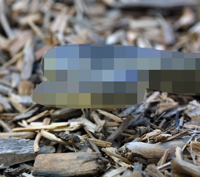 CC_Snake-Pixelated