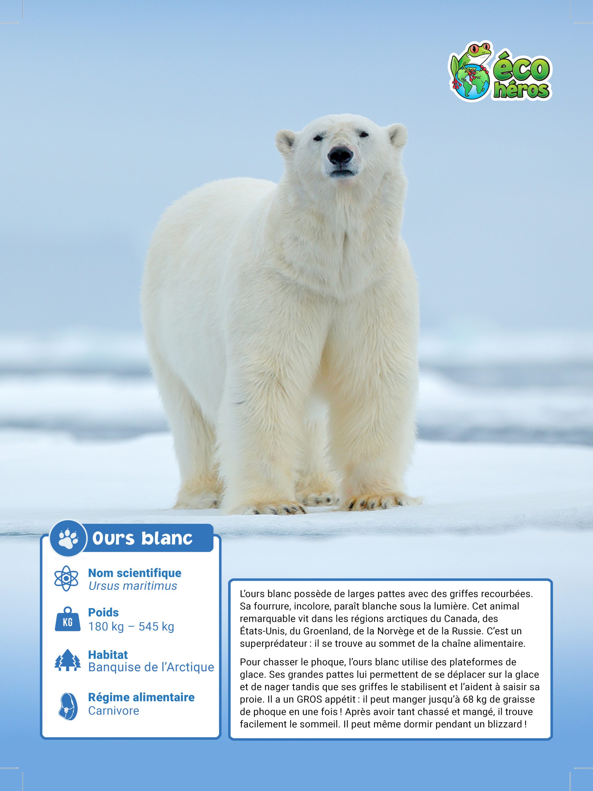 RingedSeal_Poster2022_withBleed