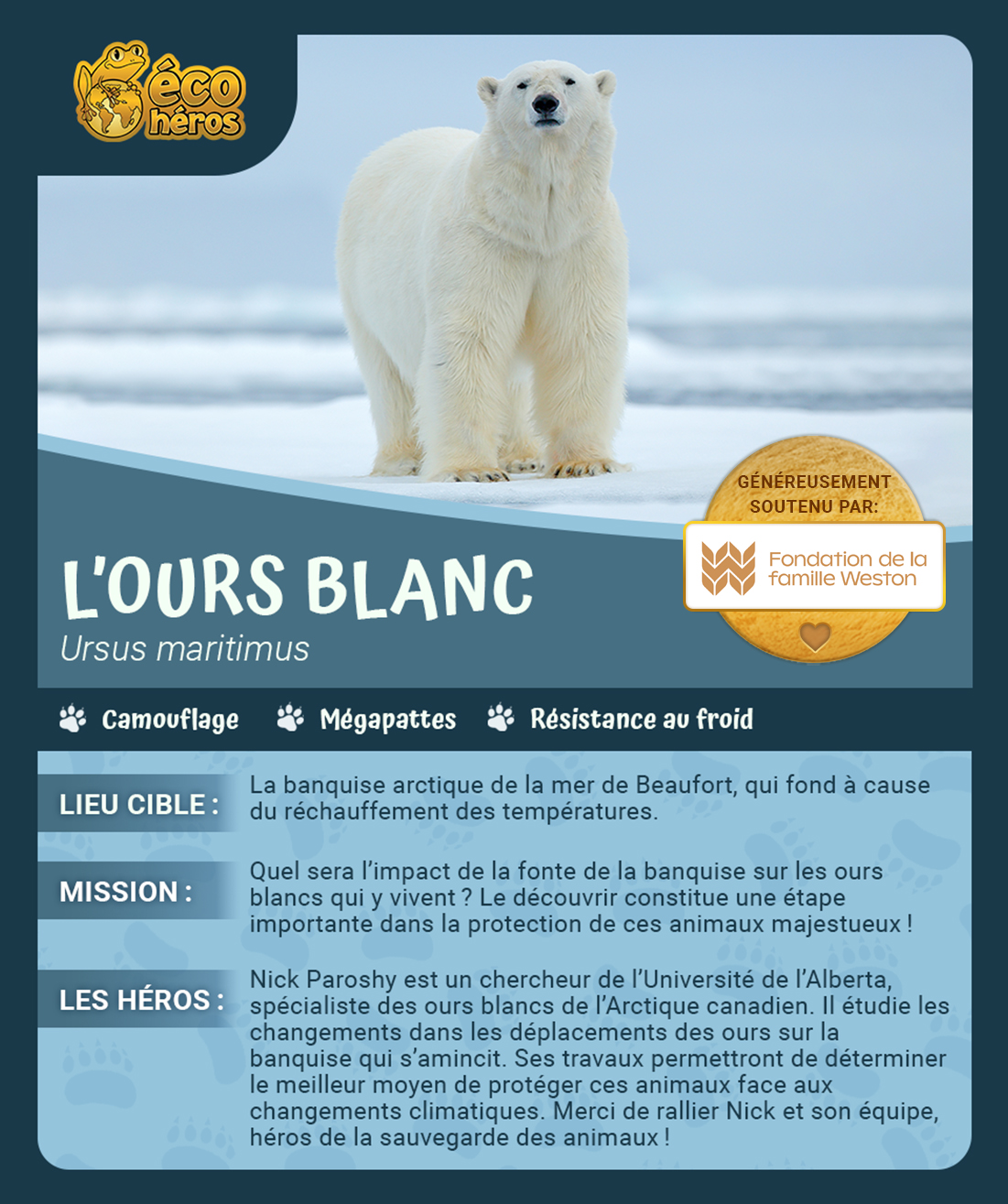 Polar Bear TC_FR_IHP