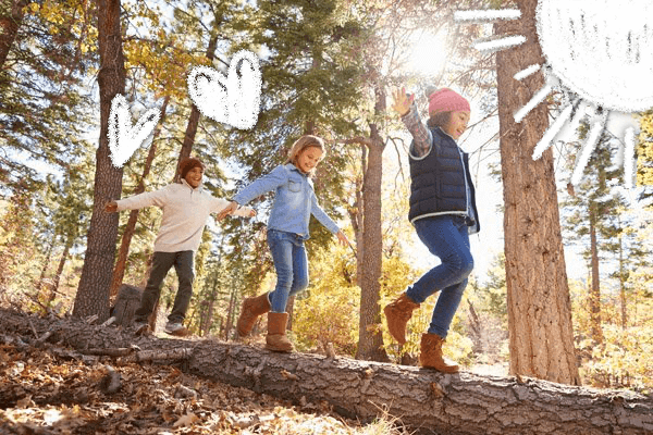 kids-hike-in-forest-2-2